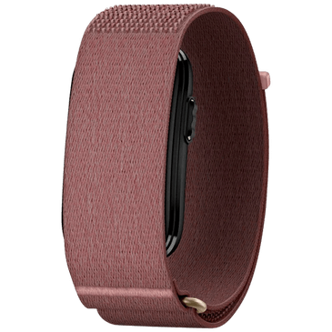 Garmin Cirqa Smart Band